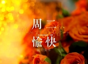 爱游戏足球体育-包含克罗托内逐步调整阵容，力拼联赛前四的词条