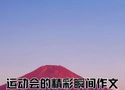 爱游戏体育官方-肆意挥洒，激情四射的运动盛宴令人陶醉的简单介绍