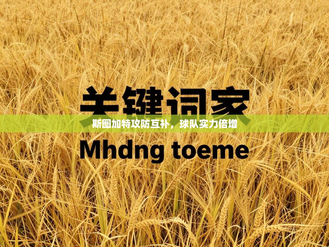 斯图加特攻防互补，球队实力倍增  第2张