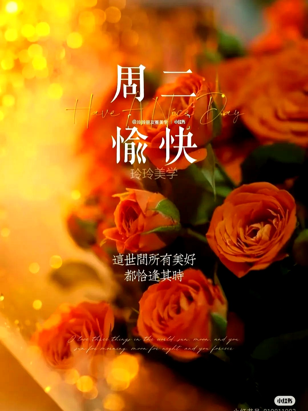 包含克罗托内逐步调整阵容，力拼联赛前四的词条